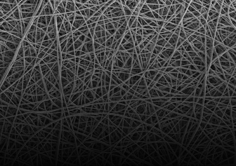 mikroskopisch feine Fasern